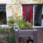 Solar LED-buitenlamp met bewegingsmelder